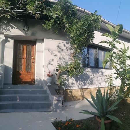 Villa Casa Cu Trandafiri à Baia Mare Extérieur photo