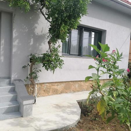 Villa Casa Cu Trandafiri à Baia Mare Chambre photo