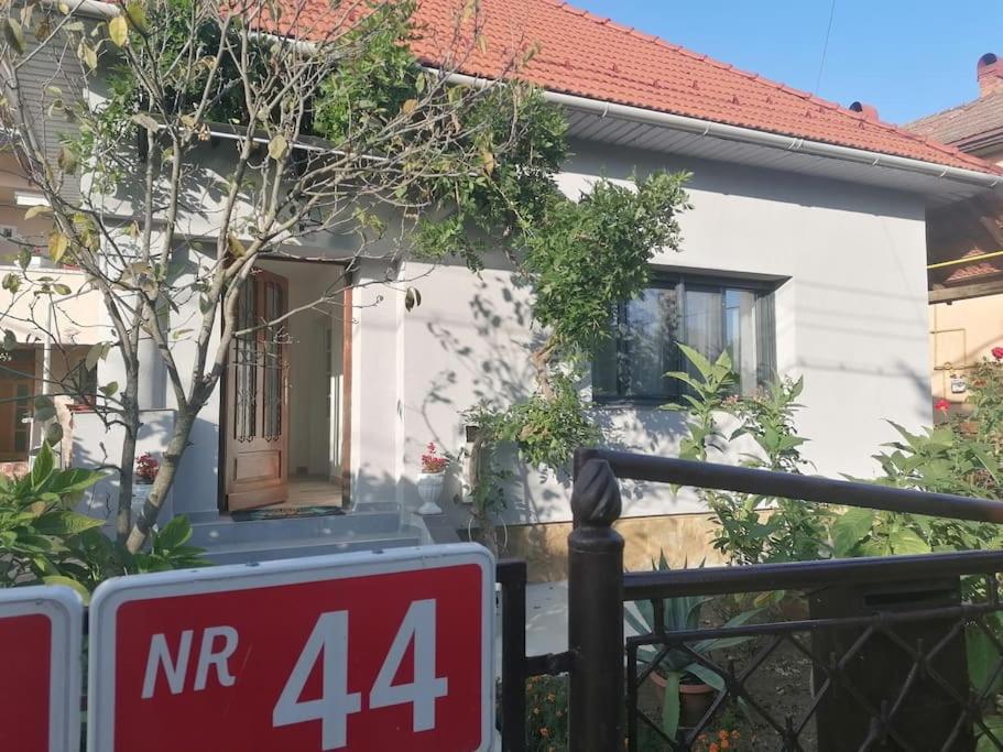 Villa Casa Cu Trandafiri à Baia Mare Extérieur photo